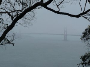 Golden Gate brug/bridge