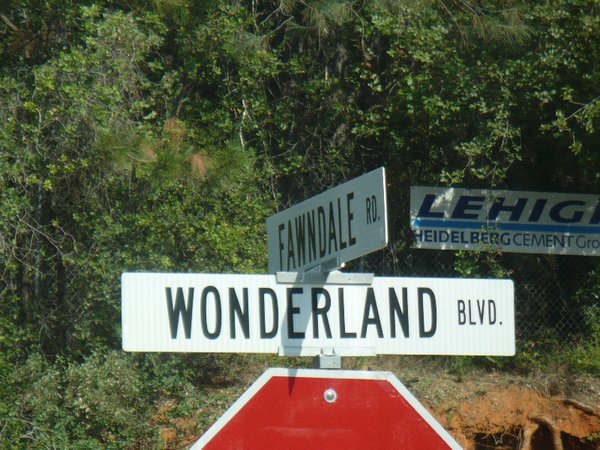 18 Wonderland Boulevard