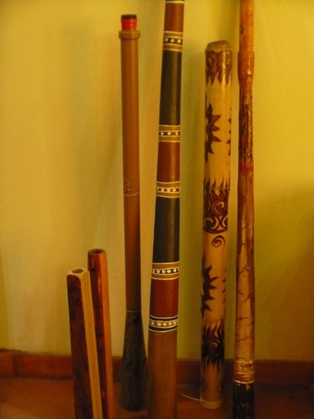 21 Didgerido's