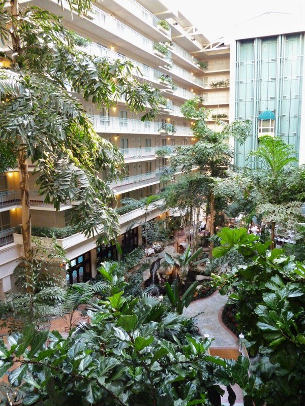 07 Tropische tuin in het hotel. Tropical garden inside the hotel