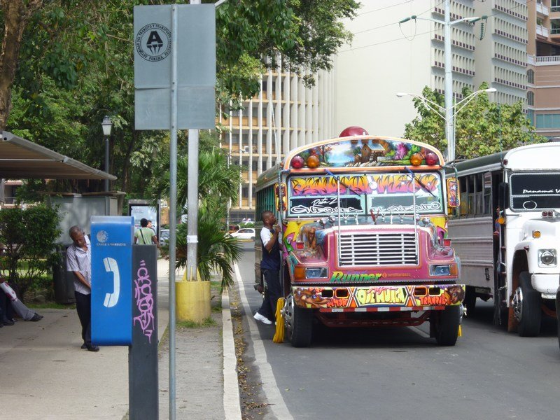 11 Grafitti busses all over