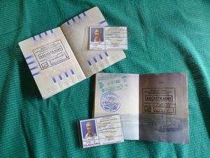 33 Our passports with the Registrado stamp and our temporary ID cards, Onze paspoorten met de Registrado stempel en onze tijdelijke ID kaarten