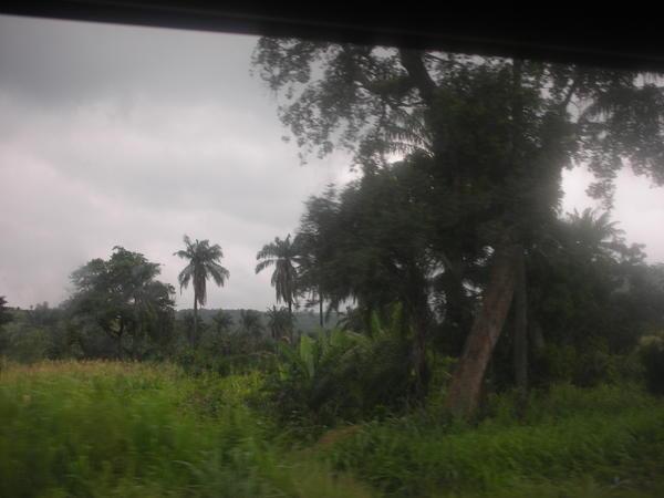 On quitte Lomé-la-plate pour un peu de relief et tout plein de végétation vert fluo