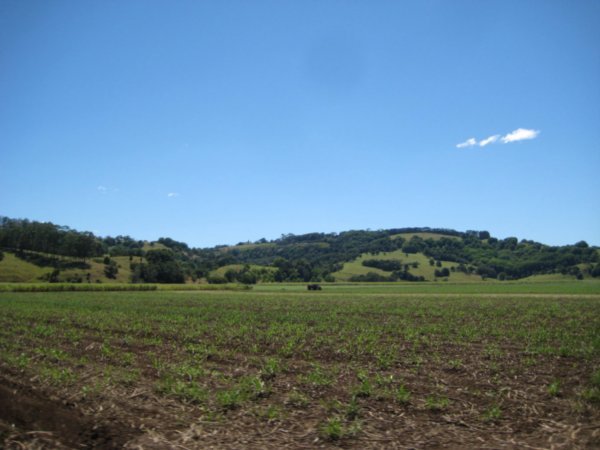 up to the green hills of Alstonville