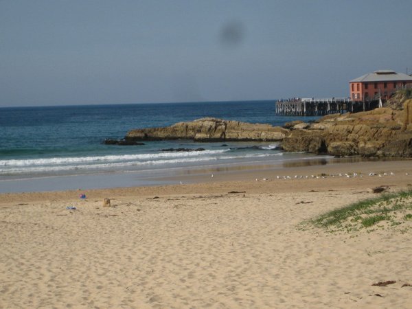 Tathra Beach