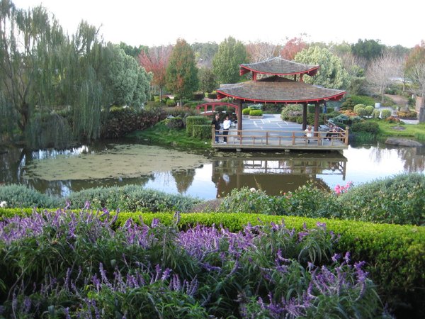 The oriental Garden