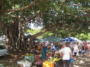 Markets - under the fig trees