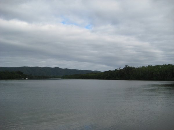 The Daintree River from the ferry