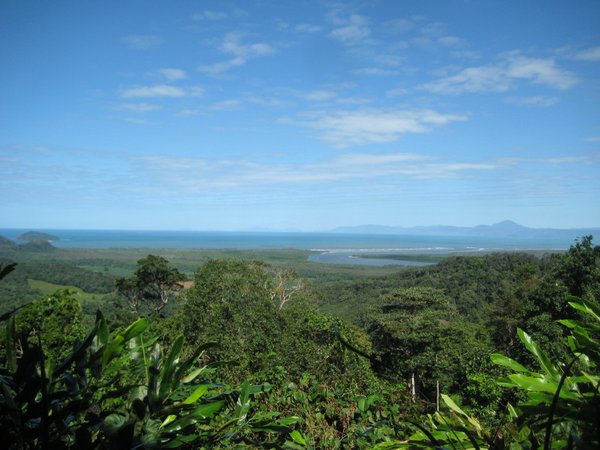 View from Alexandra Lookout