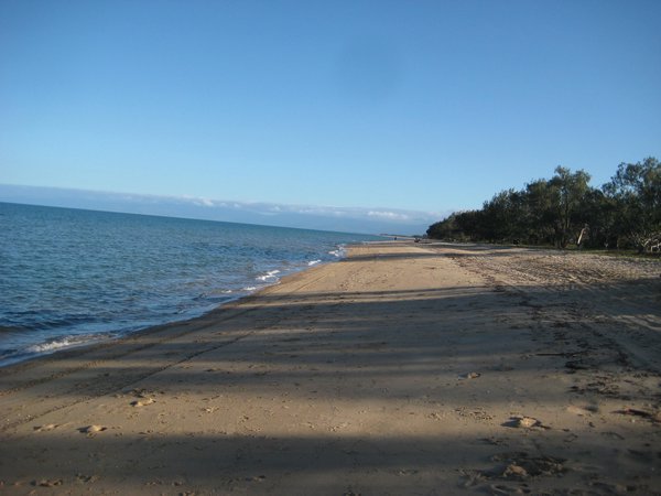Forrest Beach