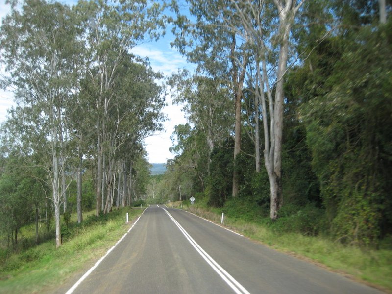 Lovely gums along the way