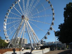 The ferris wheel at Southbank