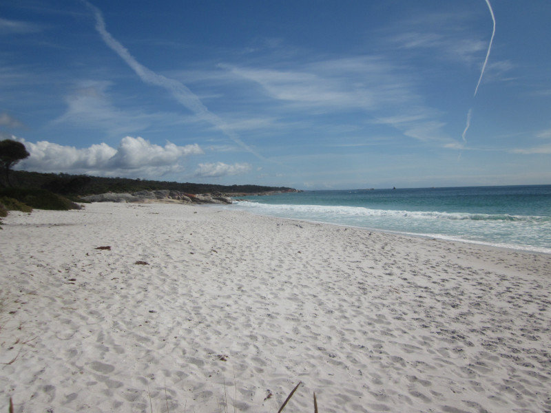 some of the Bay of Fires