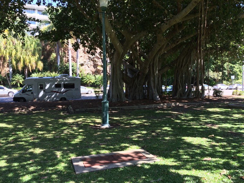 Parked by one of the big fig trees in the Strand 