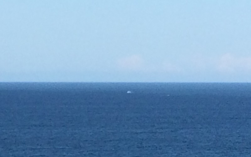 Whale!  if you look really hard