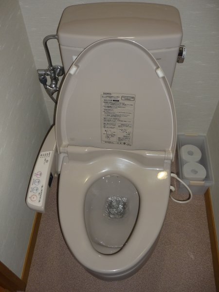 Japanese toilets