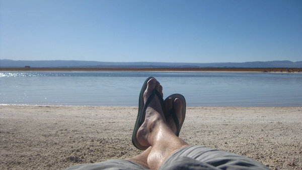 Laguna Cejar - the Salt Flats...