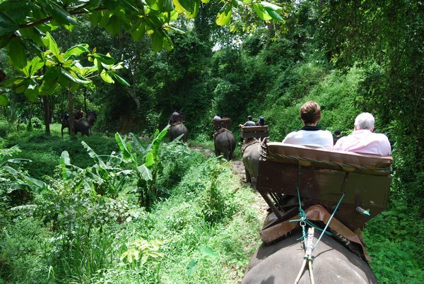 Maesa Elephant camp