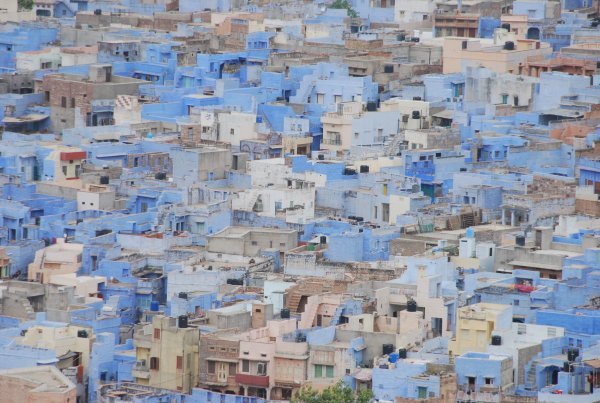 Blue houses in Jodhpur