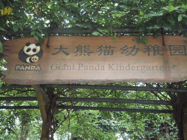 Panda sign