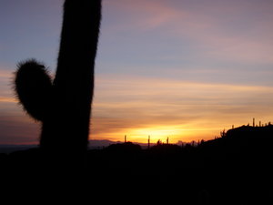 Sunrise over cactus mountain..