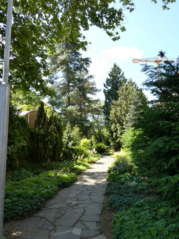 The pathway to the lovely gardens.