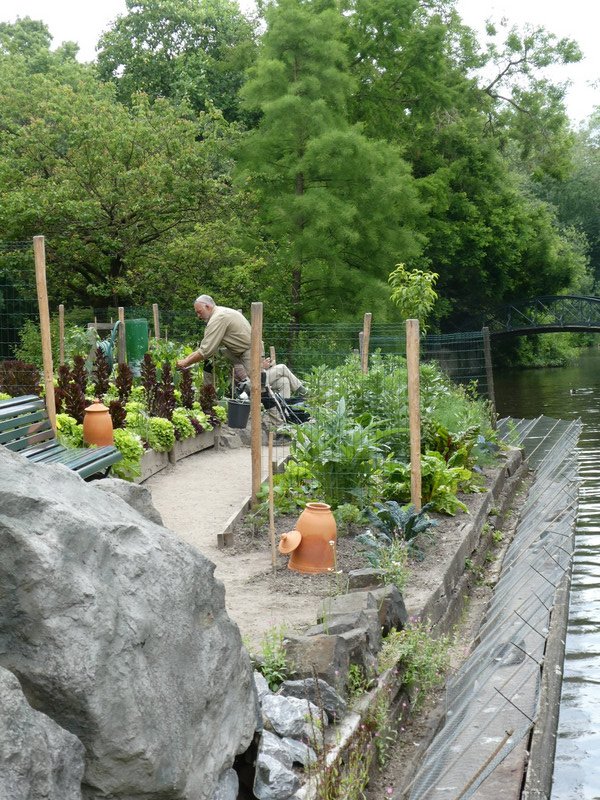 Gardener tending the plantings by the canal.