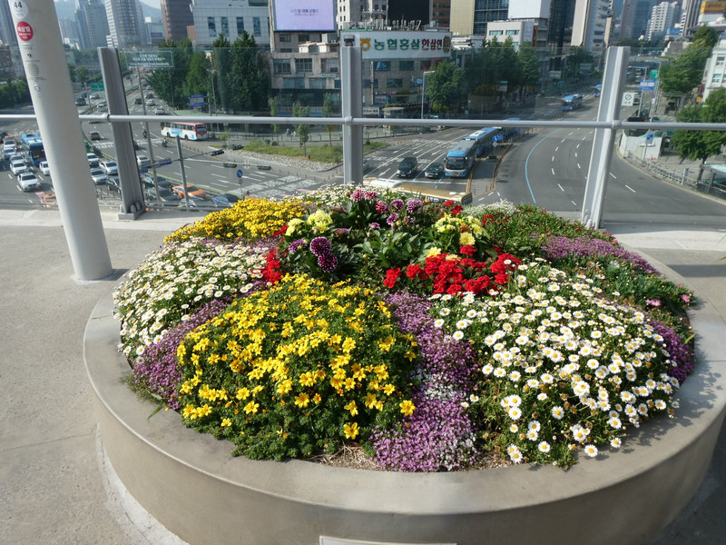 Seoul Skygarden has many plantings of flowers, bringing bright colours to this structural tribute to the concept of "walkable urbanism"