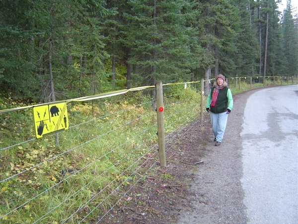 Martha tries to find her way home along the Bear Proof Fence.