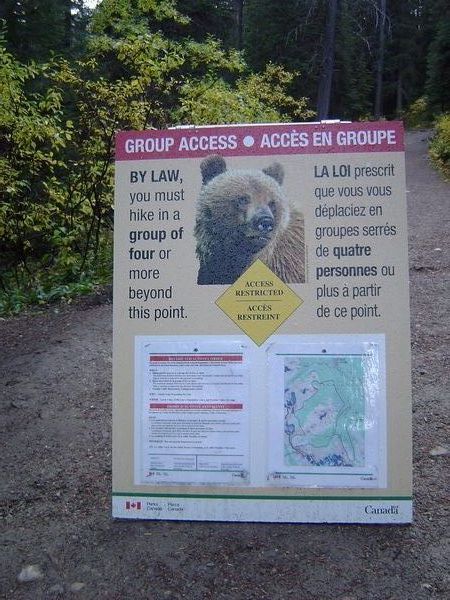 New rules about bears
