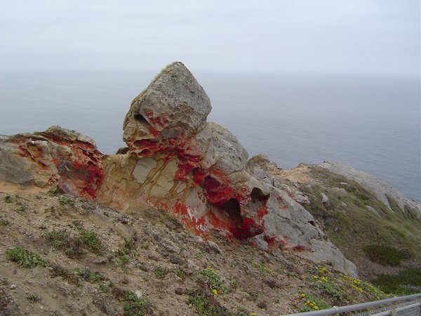 Red rocks mean living things