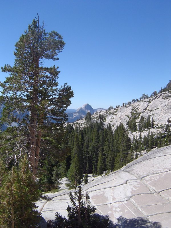 The famous "Half Dome" from afar