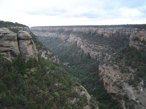 The environment of the cliff dwellings