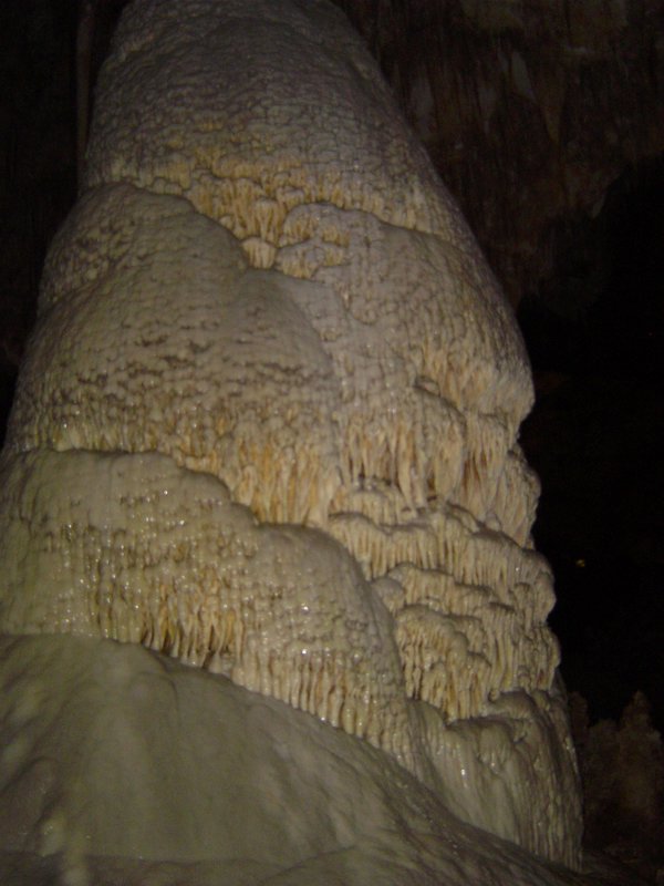 A living stalagmite (upper part)