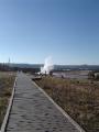 A geyser called to us down the boardwalk