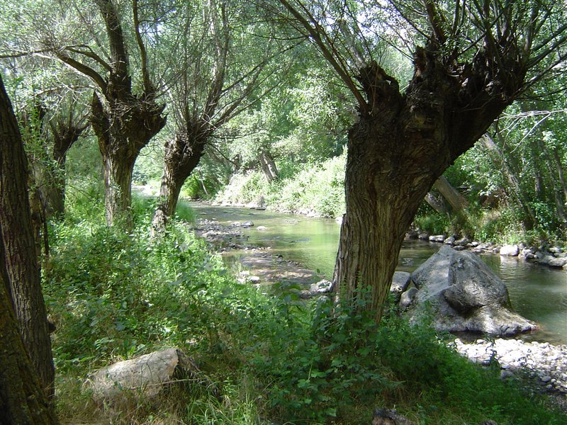 Tranquil spot on in the Ihlara Valley