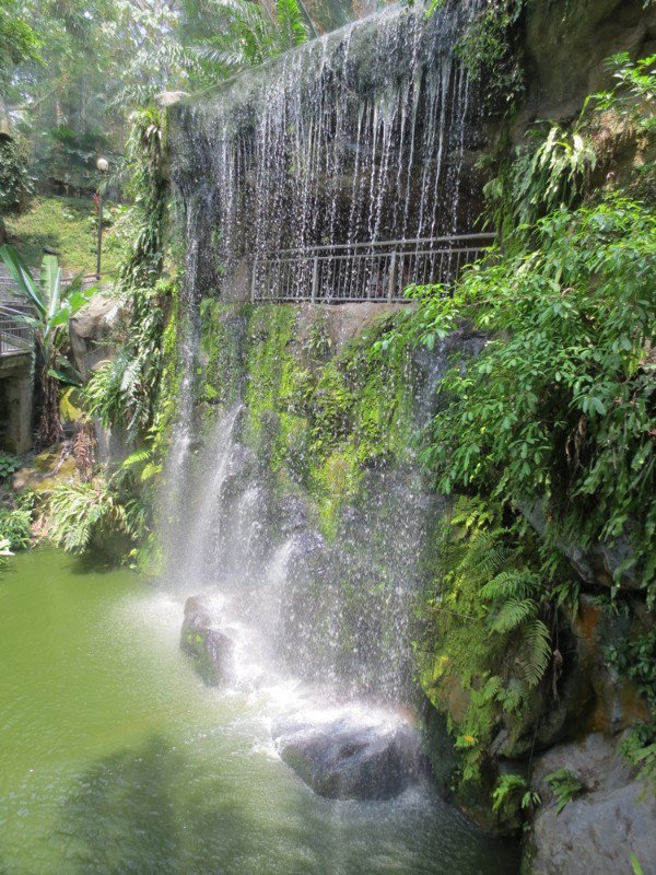Waterfall Aviary