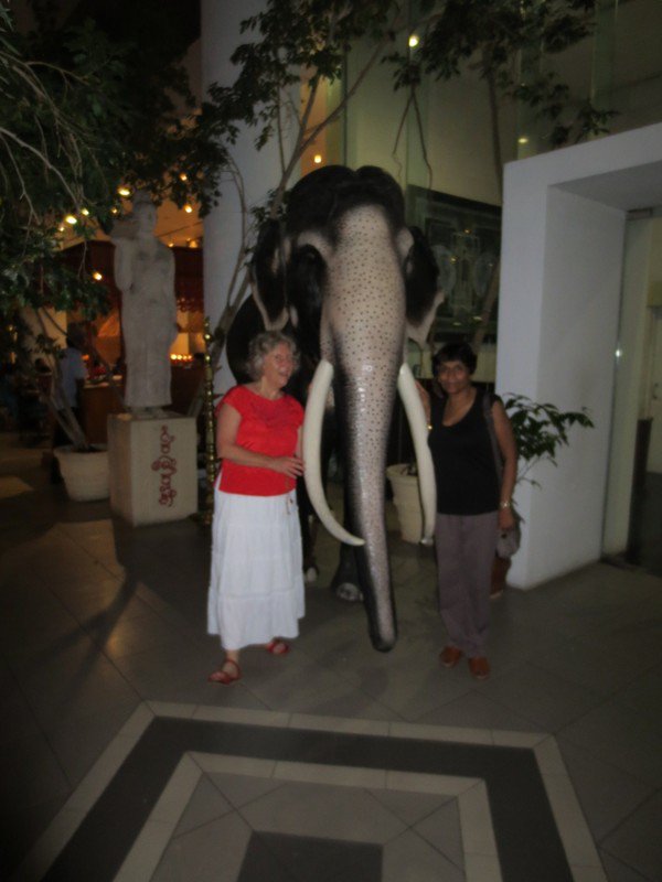 Elephant Martha Sunetra