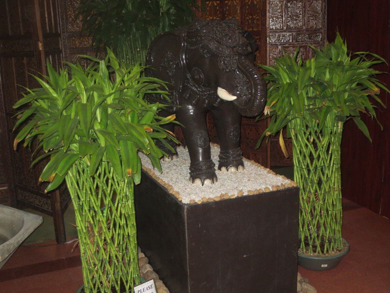 Plaited bamboo and elephant 