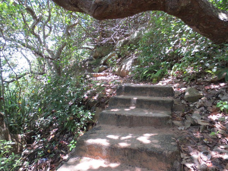 Stone steps to Jungle Beach
