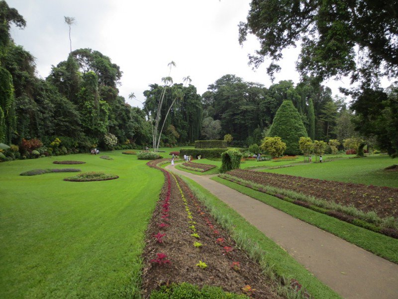 Peradeniya Botanical Gardens, outside Kandy