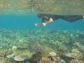 ik en een schildpad tijdens het snorkelen