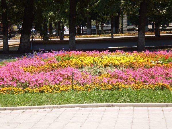 Fluffed-up flower beds.