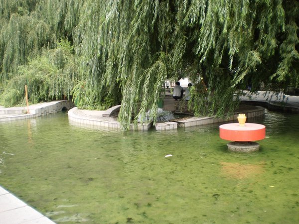 Willow trees and Fountain