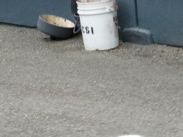 A CSI bucket!!