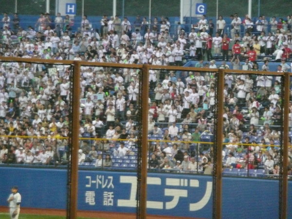 The Swallows fans in right field
