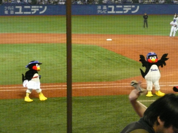 The Swallows mascots