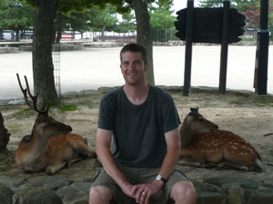 Me and a few of Miyajima's resident deer