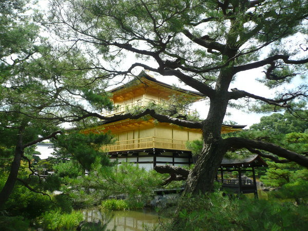 Kinkaku-ji behing the trees