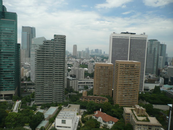 Tokyo from above #1